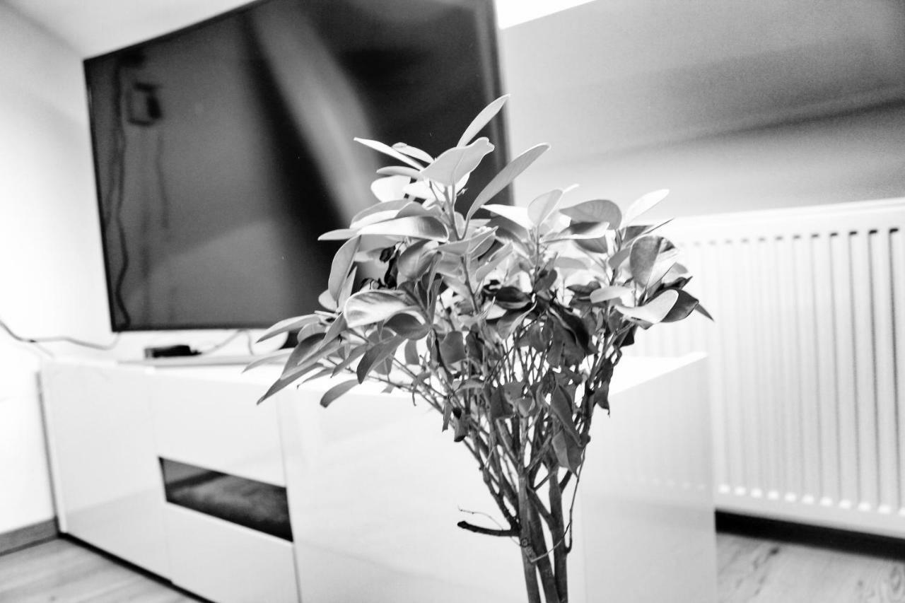 Apartmany Ztracena Roudnice nad Labem Bagian luar foto